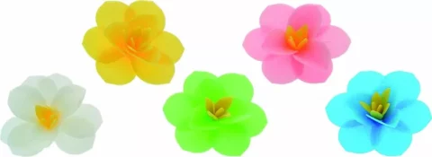 Summer unleavened flowers 5pc