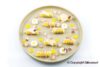 Moule silicone 35 micro pâtisseries 5ml