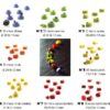 Moule silicone 35 micro pâtisseries 5ml