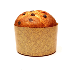 Moule à panettone en papier jetable