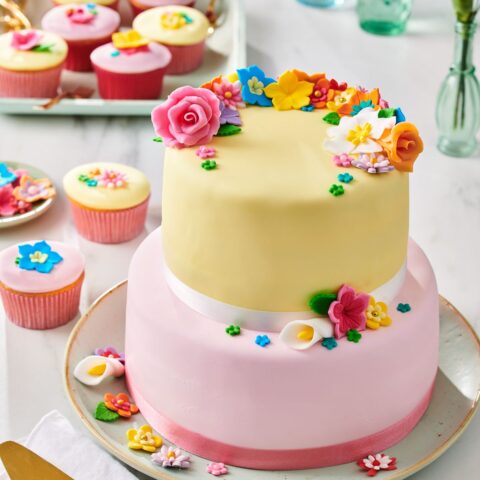 pâte à sucre rose f20365 Tille