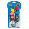 Kit retail PAW PATROL PVCPATROL Tille