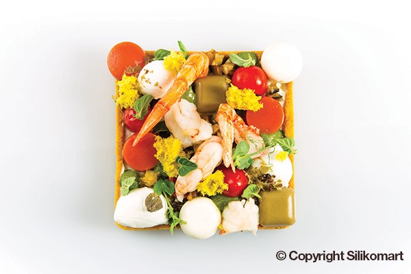 Moule silicone 35 micro pâtisseries 5ml